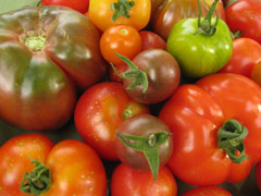 Tomatoes