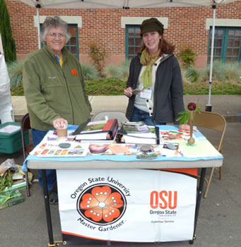 Hollywood Farmers Market