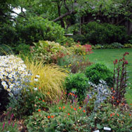 Perennial Bed