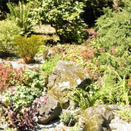 RockGarden