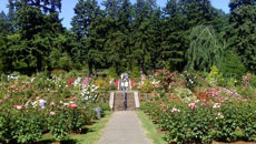 International Rose Test Gardens