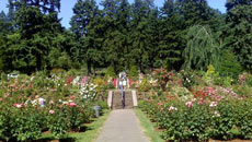 International Rose Test Gardens