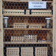 Washington County Mason Bee Display