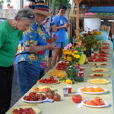 Tomato Tasting 2011