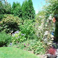 Entrance to backyard