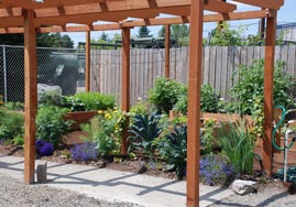 year round garden