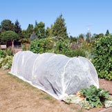 Learning Garden Rowcover