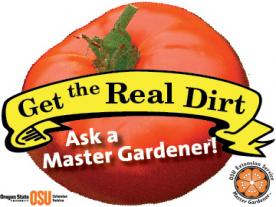Real Dirt Window Cling Sticker